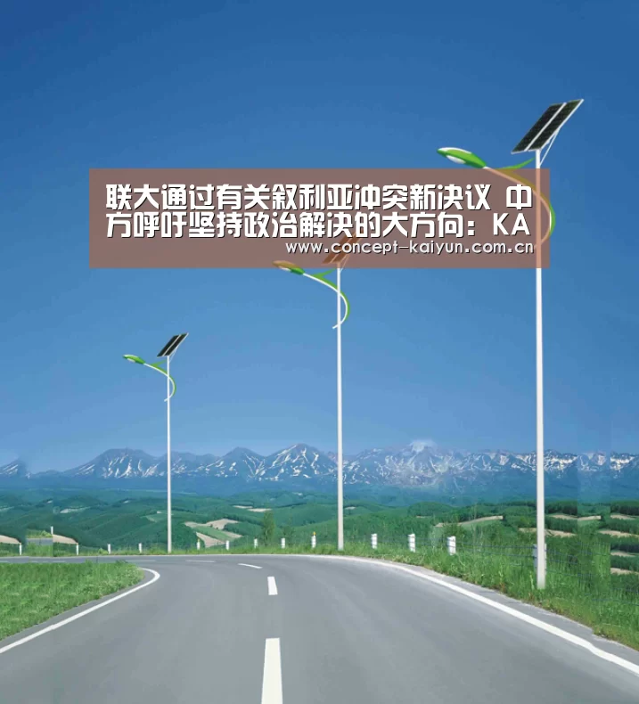 联大通过有关叙利亚冲突新决议 中方呼吁坚持政治解决的大方向:KAIYUN官网(图2) 开云体育官方入口