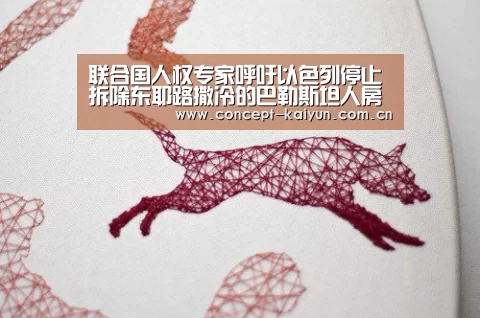 联合国人权专家呼吁以色列停止拆除东耶路撒冷的巴勒斯坦人房屋“开云体育直播”(图2) KAIYUN官网
