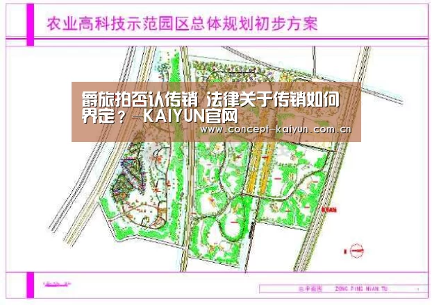 爵旅拍否认传销 法律关于传销如何界定?-KAIYUN官网(图2) KAIYUN官网